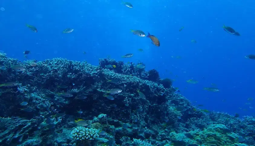 Poseidon-Scuba Diving Greece — Greece Greece Vacation Packages