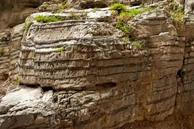 Imbros Gorge & Sfakia — Chania – Sfakia – Imbros Gorge