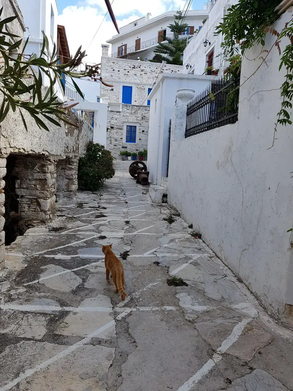 Private tours