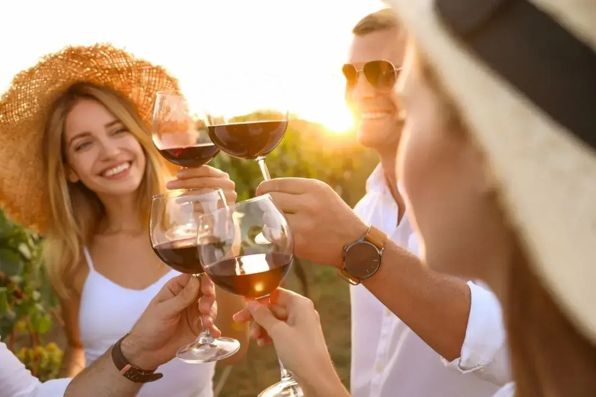 Visit of The Oldest Olive Tree and Wine experience from Chania — Kissamos Region
